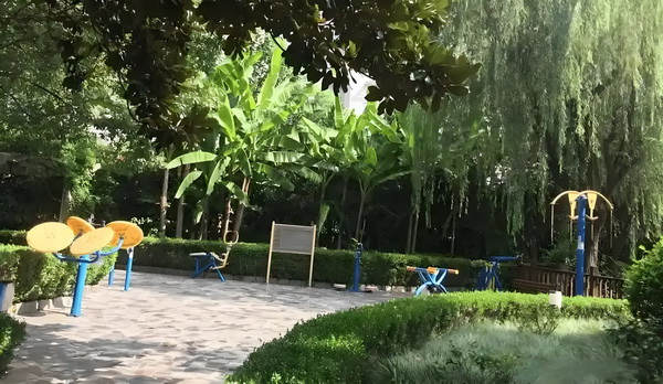 留学生落户优惠政策_陈佩斯这部高评佳作实至名归 步细化但仍有待进一